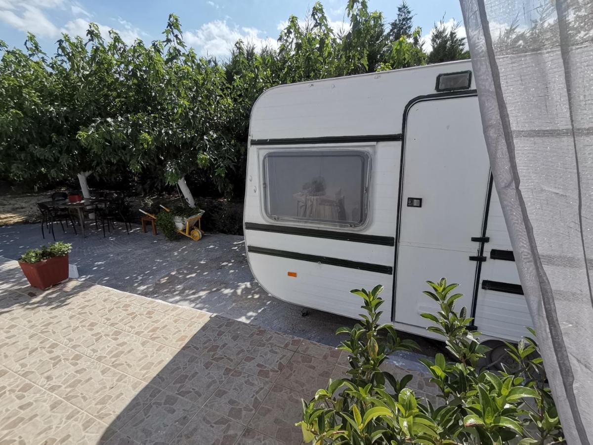 Hotel Green Garden Caravan à Agrilia Extérieur photo