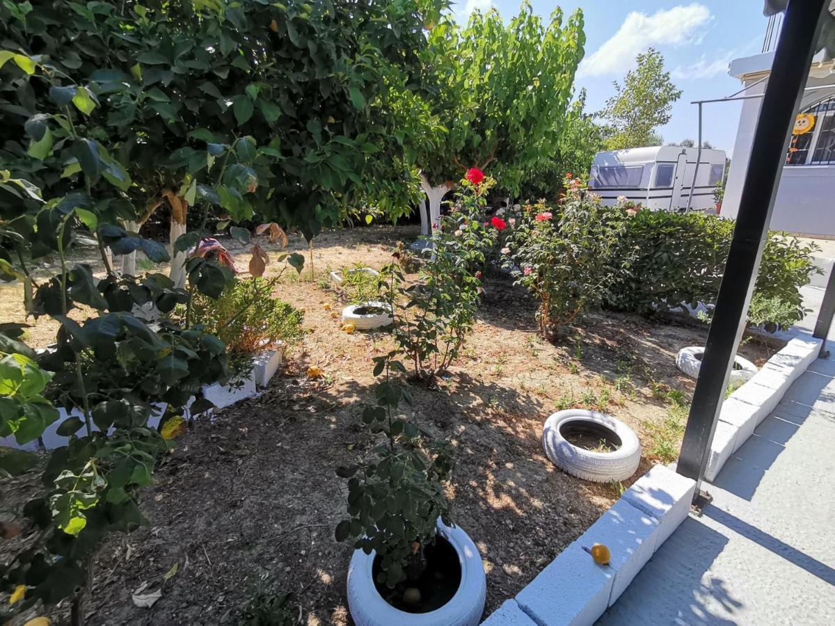 Hotel Green Garden Caravan à Agrilia Extérieur photo